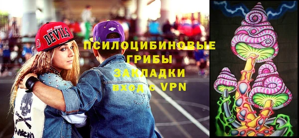 шишки Армянск