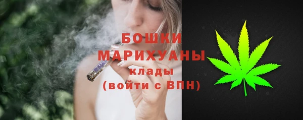 шишки Армянск