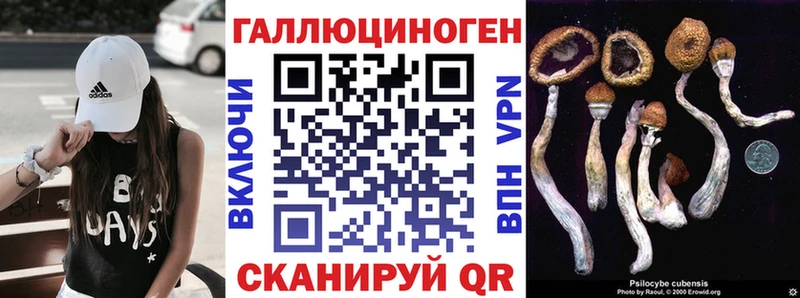 Псилоцибиновые грибы Magic Shrooms  что такое   Семёнов 